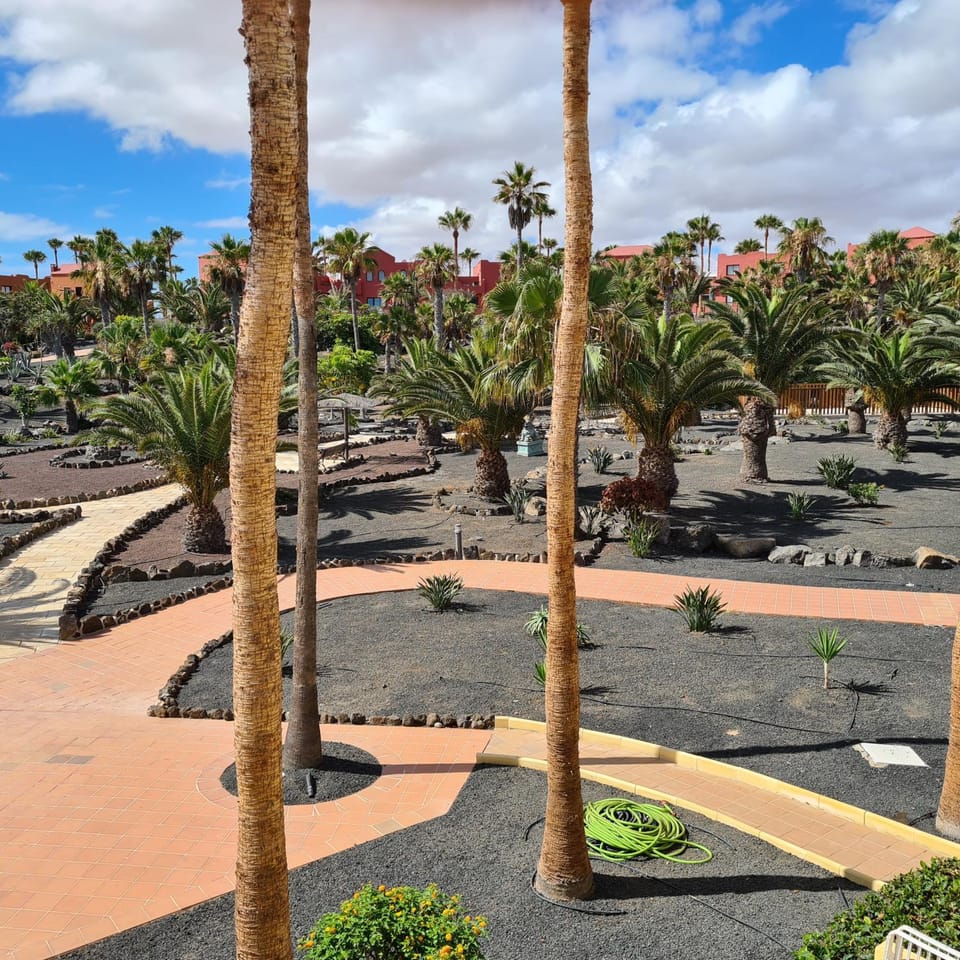 Garden view