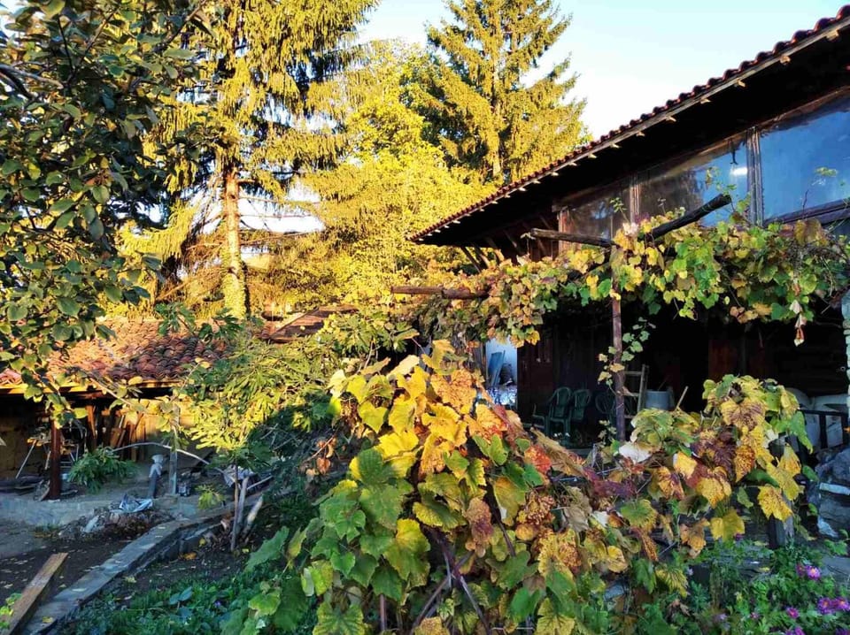 Momka's house Bed and Breakfast in Bulgaria