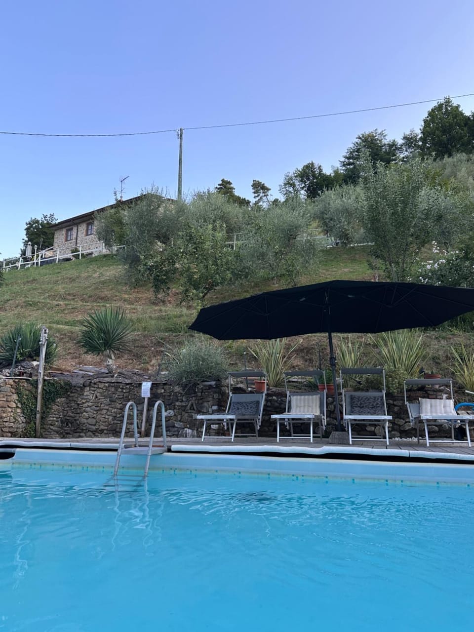 Day, Natural landscape, Pool view, Swimming pool, sunbed