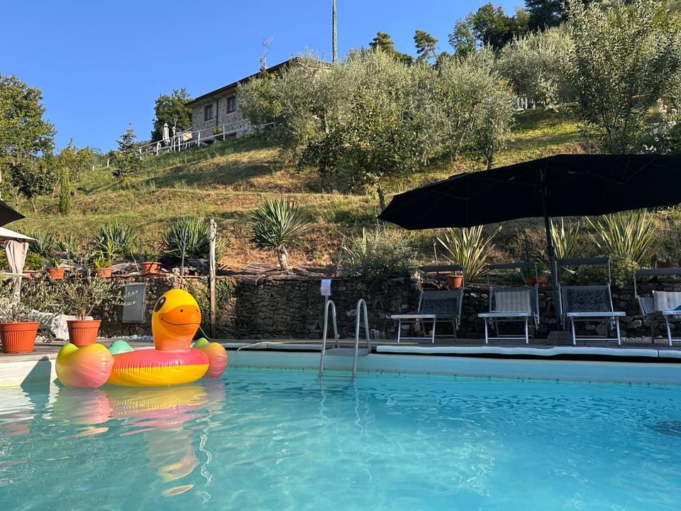 Spring, Day, Natural landscape, Garden, Garden view, Pool view, Swimming pool, sunbed