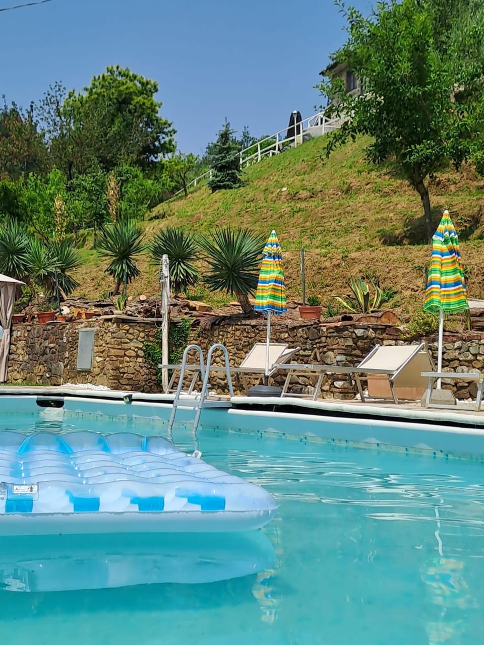 Spring, Day, Natural landscape, Summer, Garden, Garden view, Mountain view, Pool view, Swimming pool, Seasons, sunbed