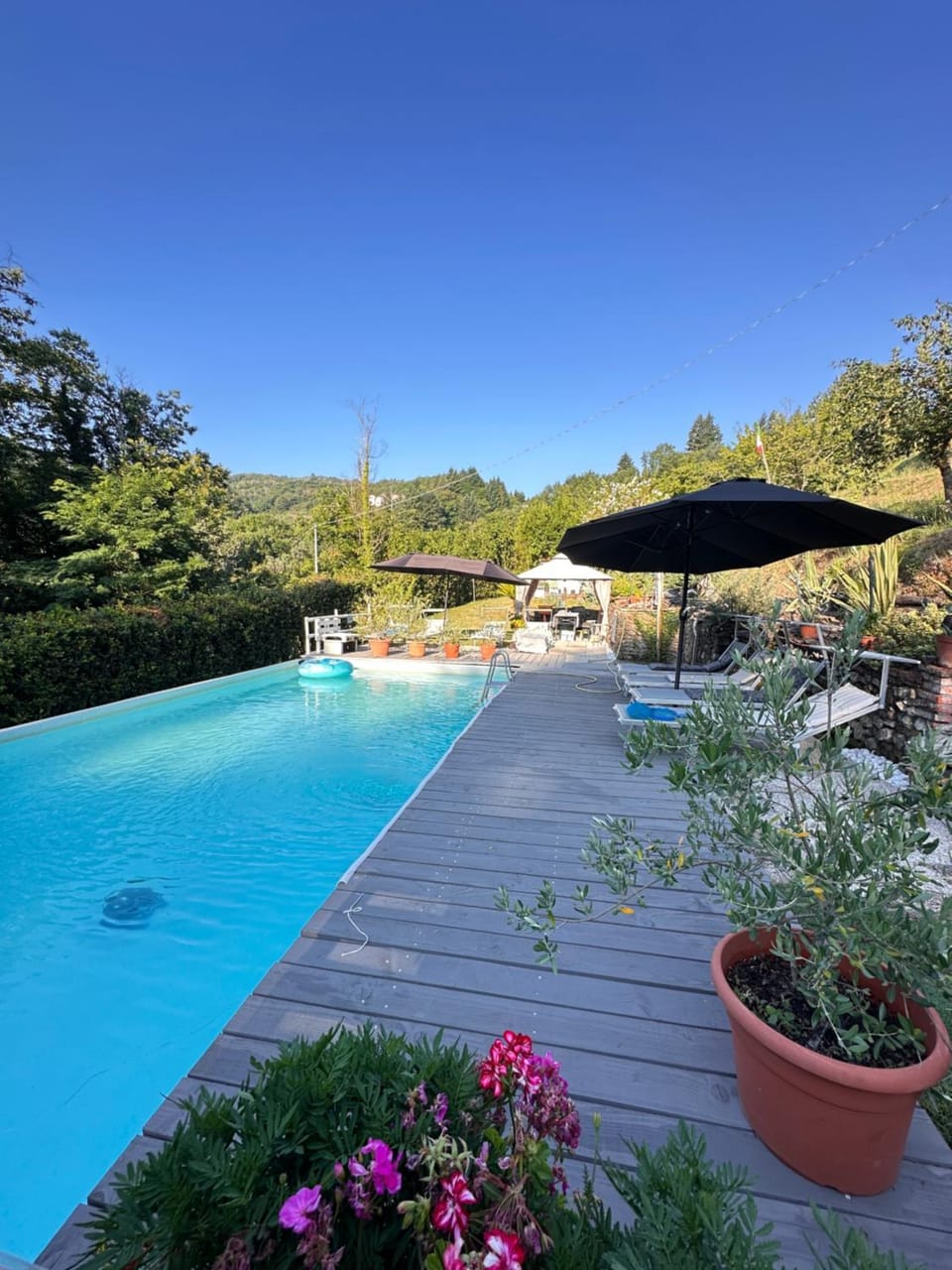 Spring, Day, Natural landscape, Garden, Garden view, Pool view, Swimming pool, sunbed