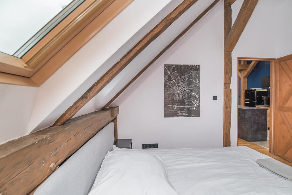 Uroczy Apartament Gliwice Apartment in Czechia