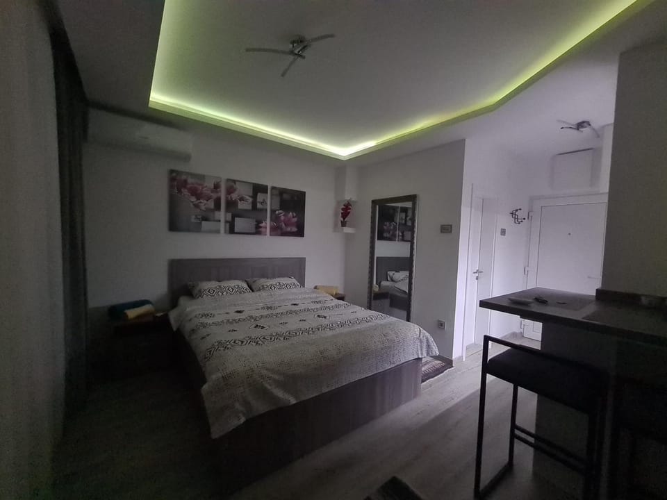Ema Apartman Apartment in Vojvodina