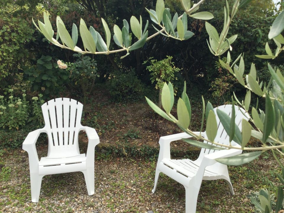 Spring, Garden