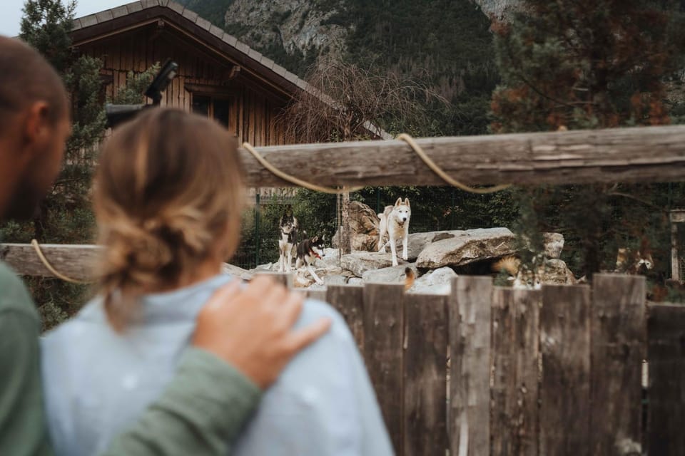 People, Natural landscape, Pets