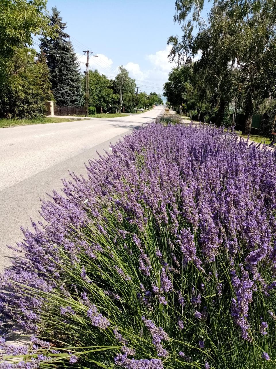 Neighbourhood