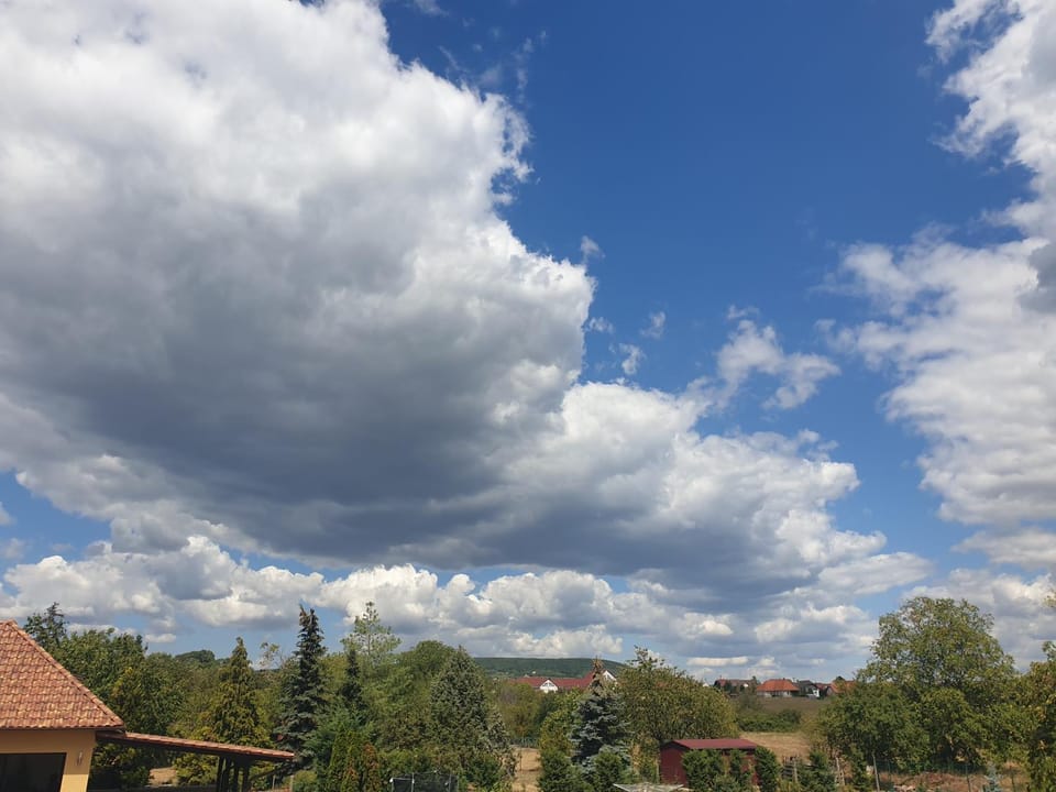 Natural landscape, View (from property/room)