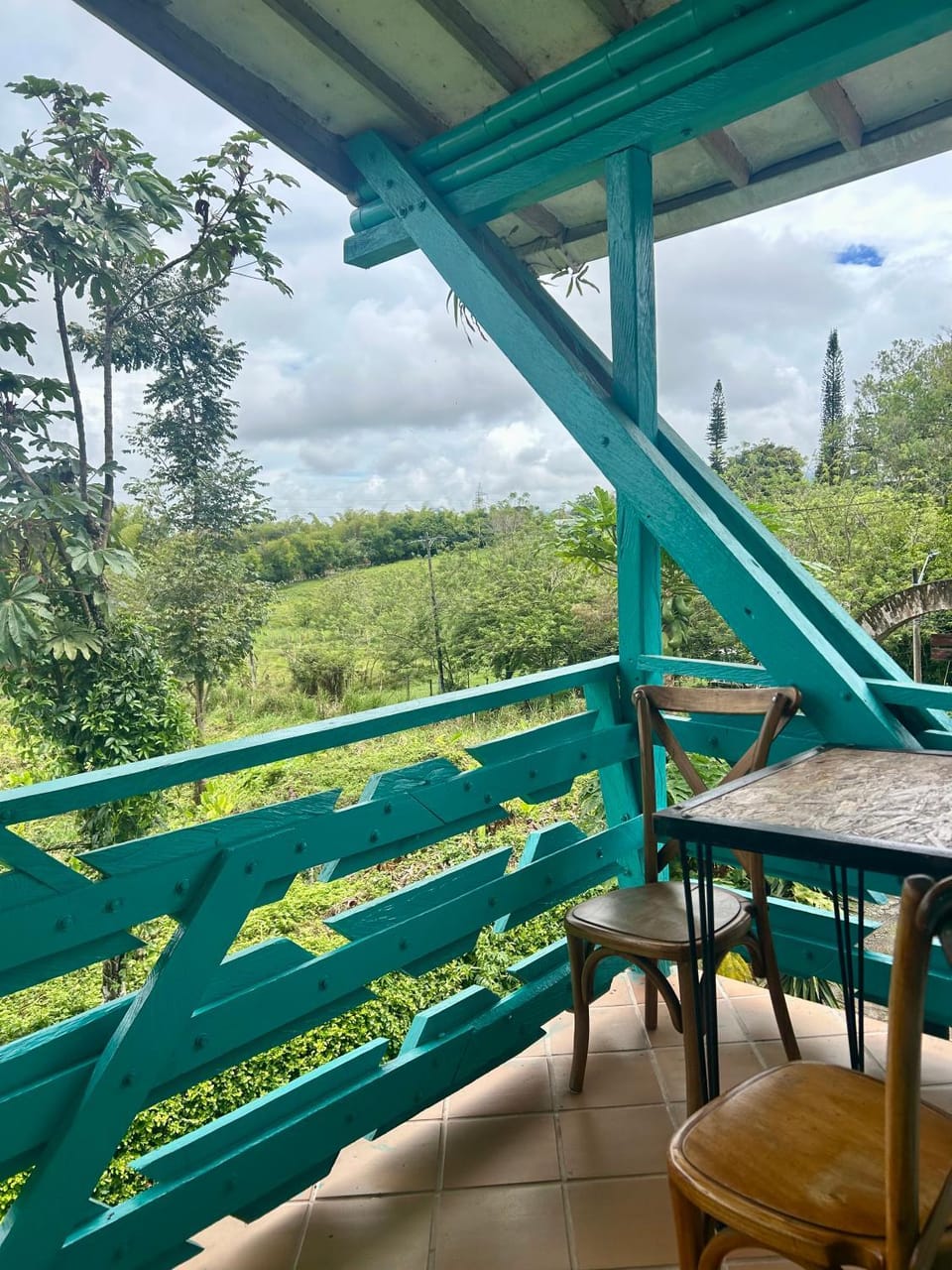 Villa Juana Hotel Hotel in Risaralda