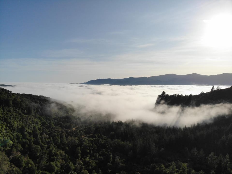 Natural landscape, Hiking, Sunrise