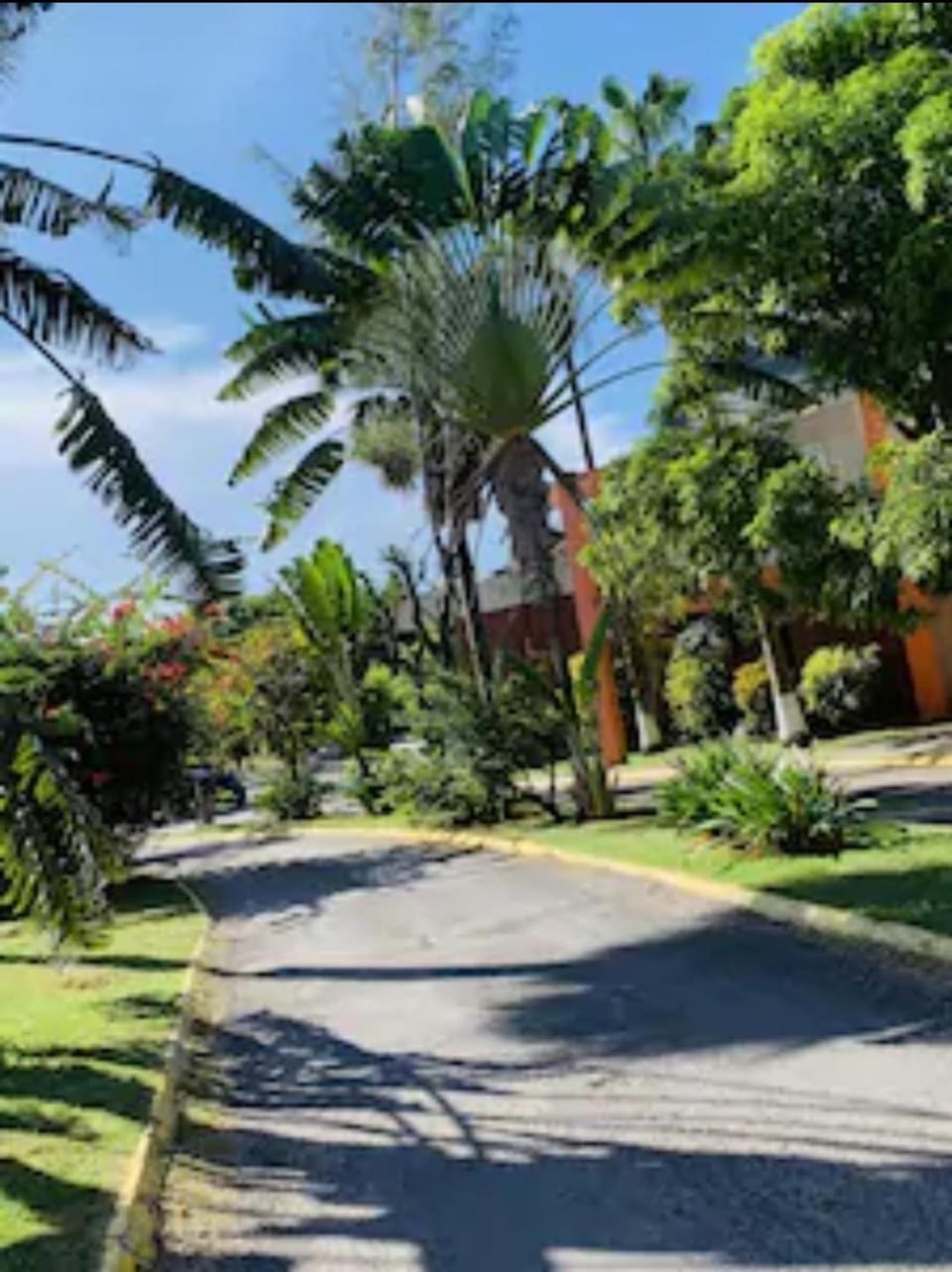 Neighbourhood, Garden