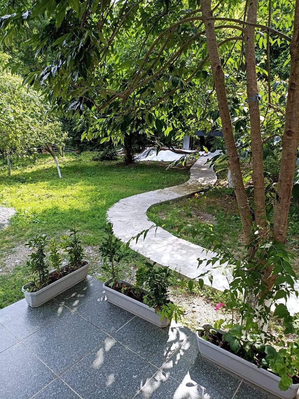 Garden view