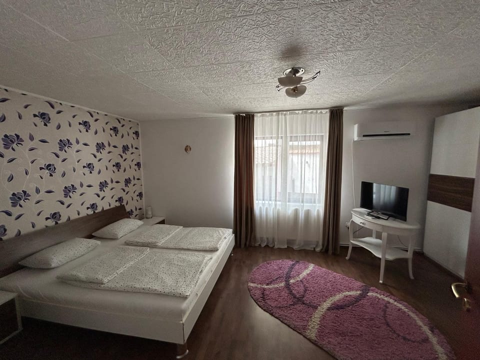 Casa Bașu Villa in Serbia