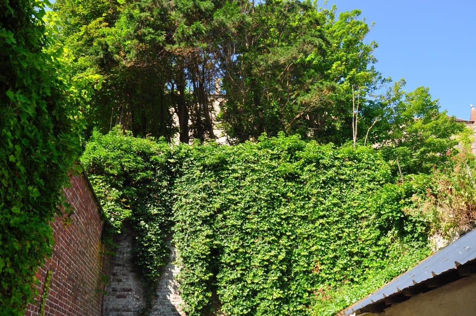 View (from property/room)