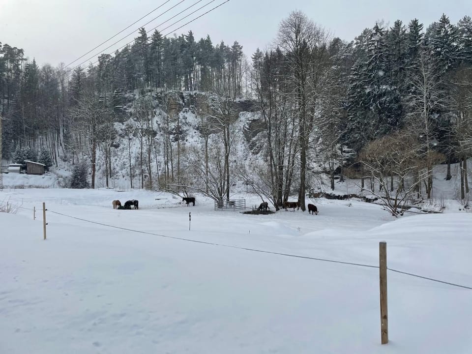 Off site, Natural landscape, Winter