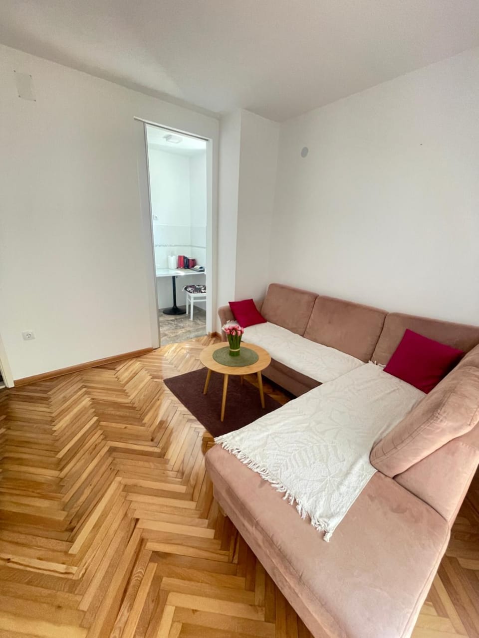 Apartman PARK Apartment in Dubrovnik-Neretva County