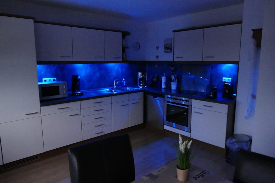 Kitchen or kitchenette, dishwasher, minibar, stove