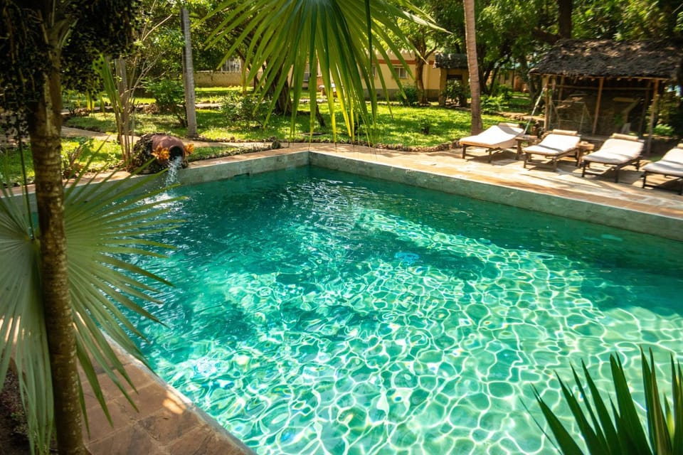 Swimming pool, Swimming pool
