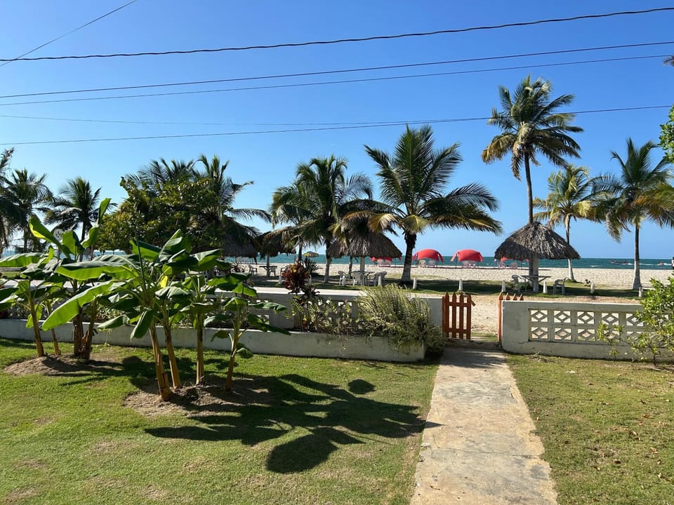 Garden view