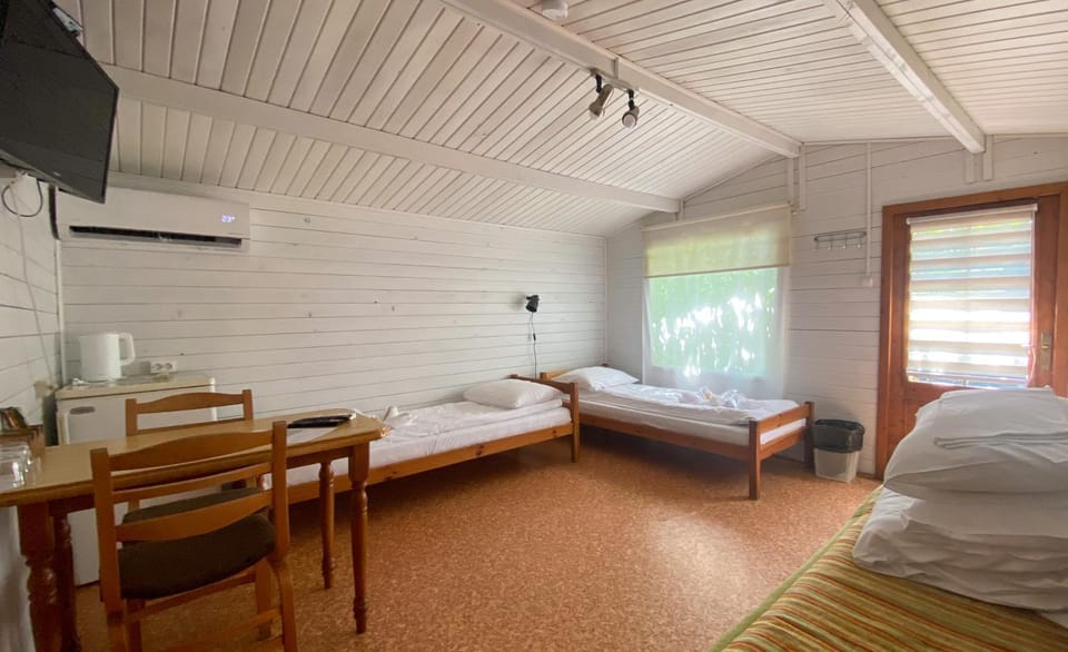 Bed, TV and multimedia, Photo of the whole room, air conditioner