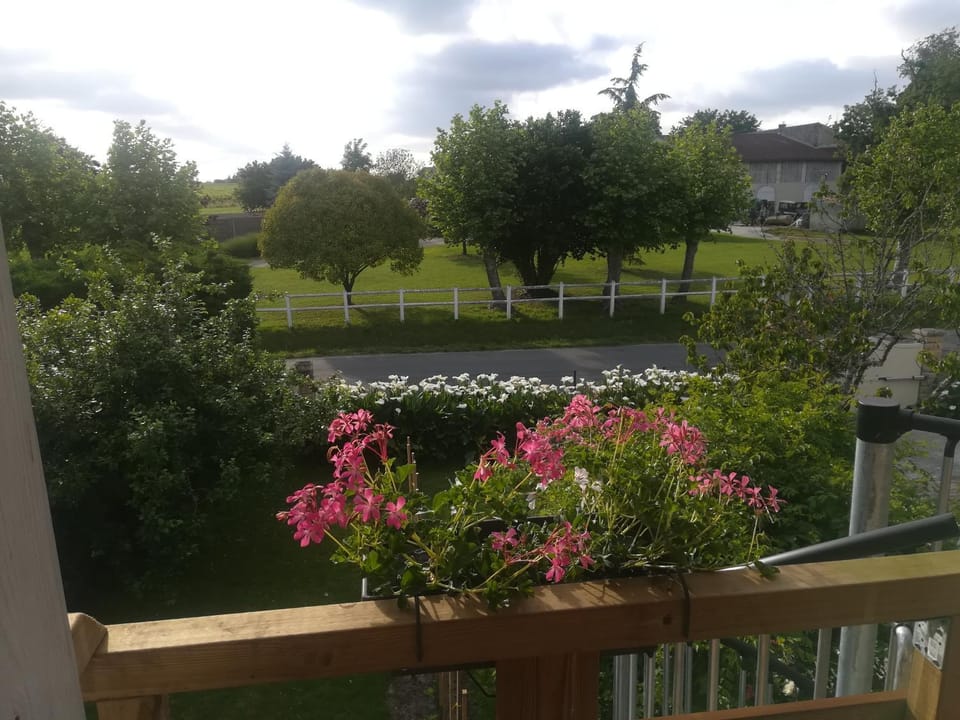 Balcony/Terrace, Garden view