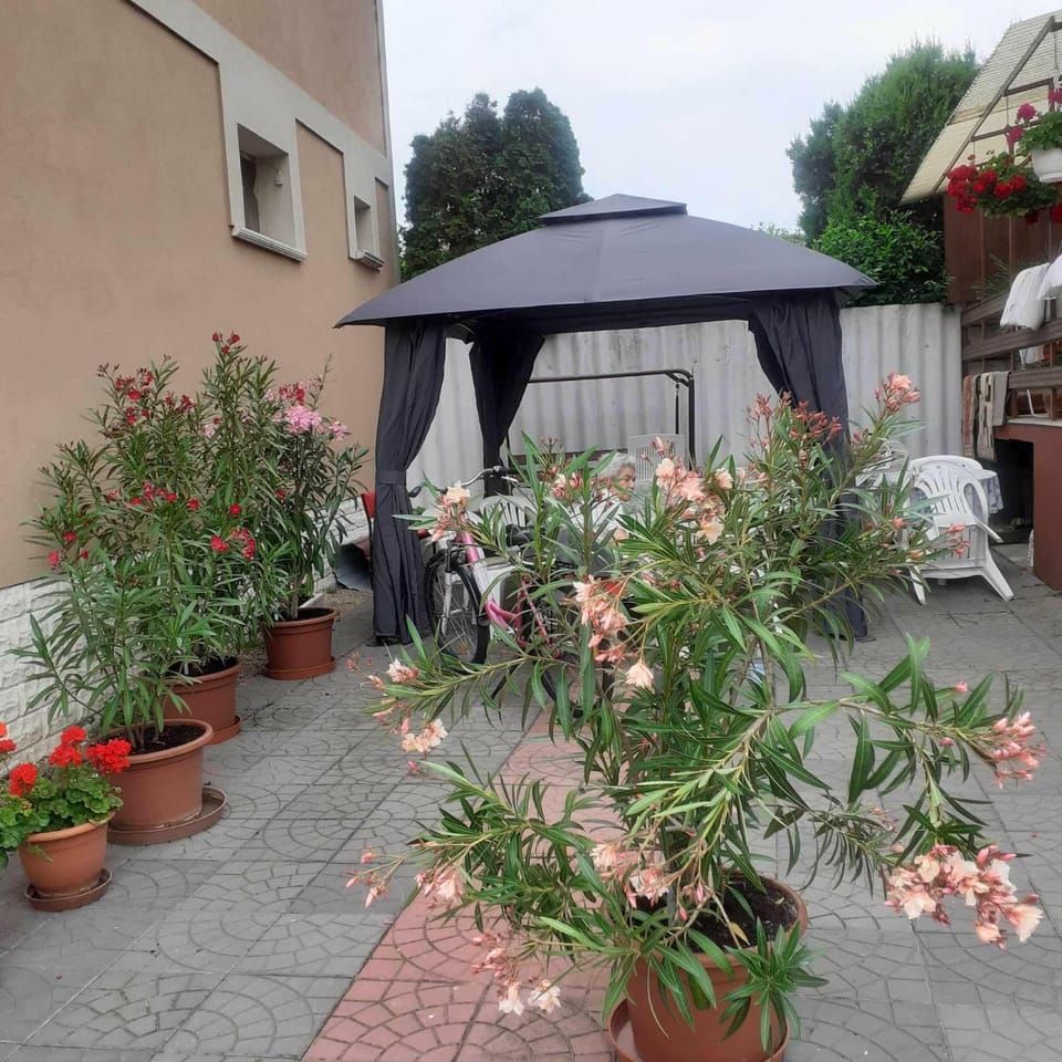 Erdei vendégház Apartment in Hungary