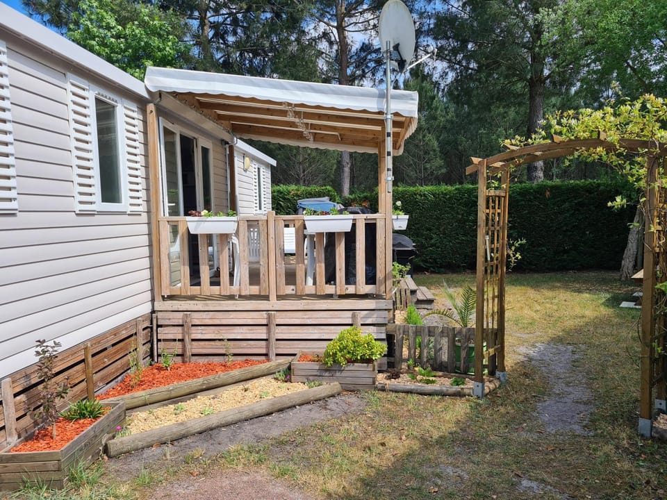 Patio, Garden
