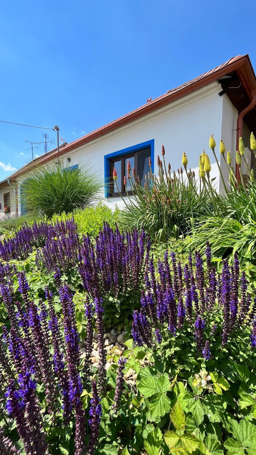 Property building, Spring, Garden