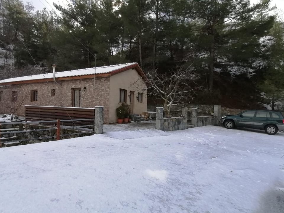 Winter