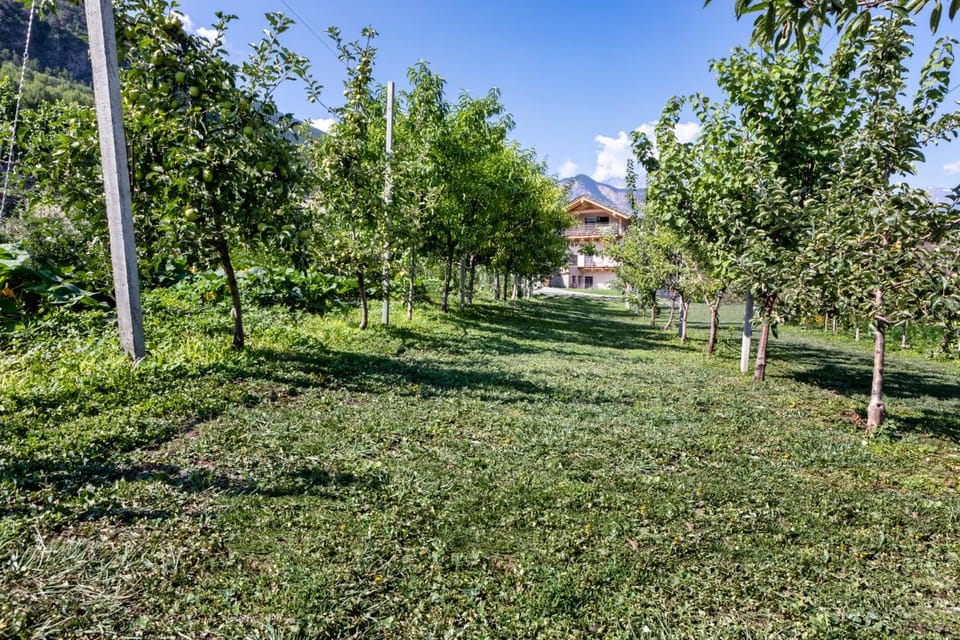 Natural landscape, Garden