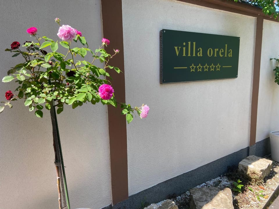 Day, Property logo or sign
