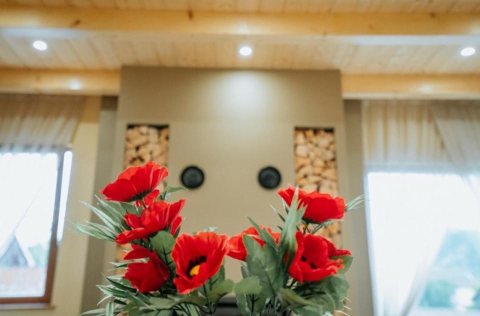 Casa DAVIDEN Bed and Breakfast in Romania