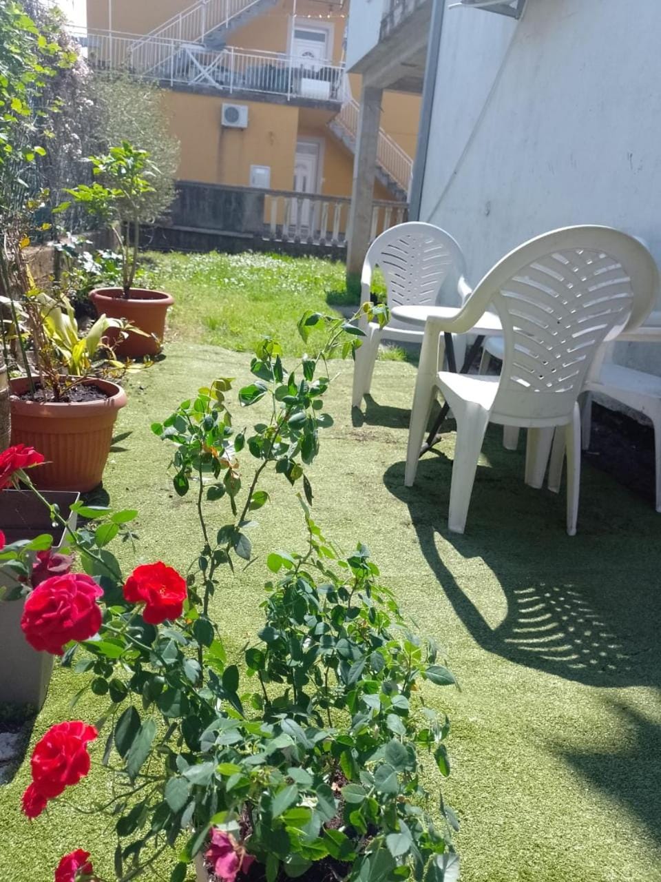 Sun apartment Apartment in Kotor Municipality