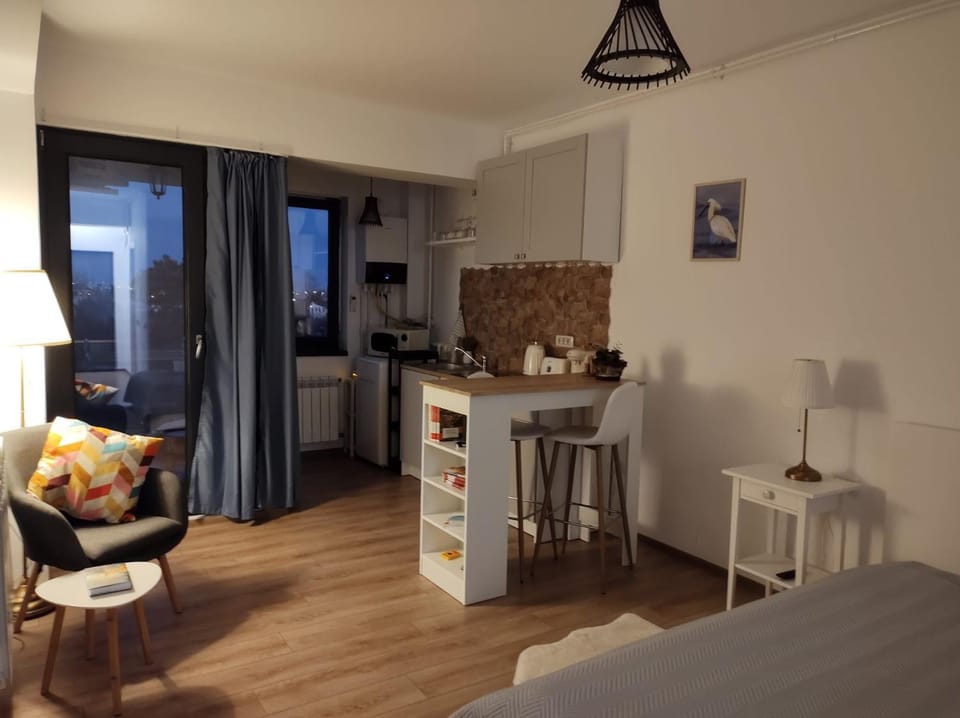 Kitchen or kitchenette, Seating area, Dining area
