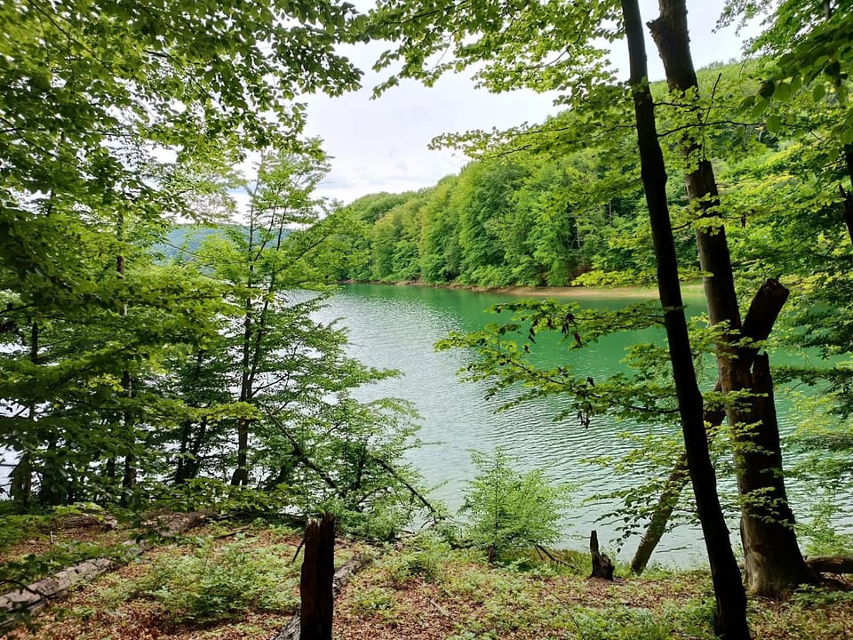 Nearby landmark, Spring, Day, Natural landscape, Lake view
