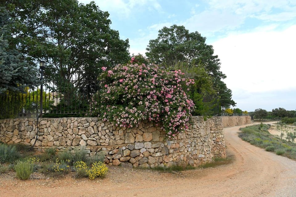 Hotel Rural La Moragona Hotel in La Mancha