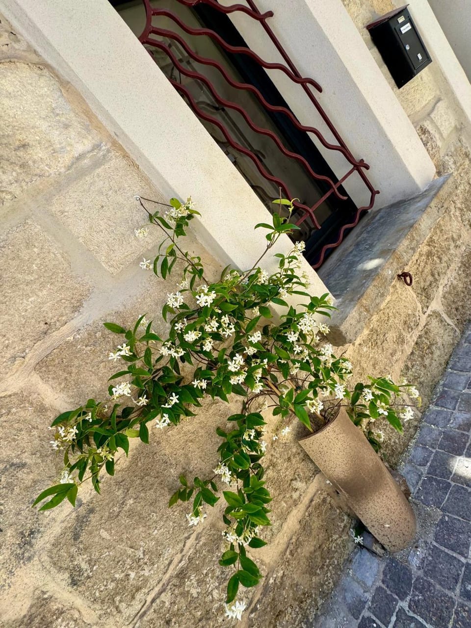 Maison de village rénovée ! House in Le Grau-du-Roi