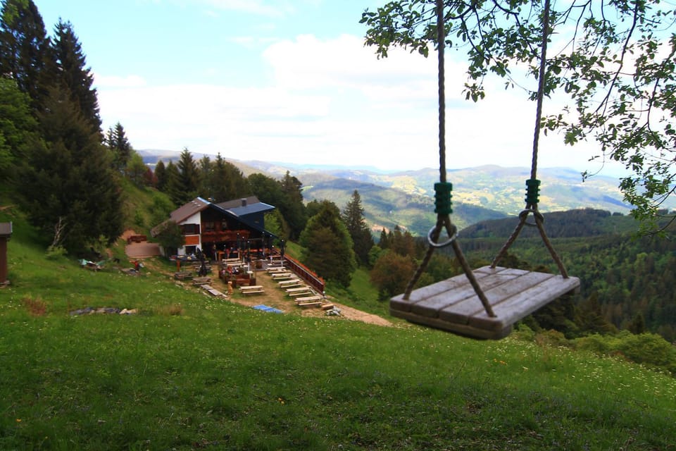 Day, Natural landscape, Garden view