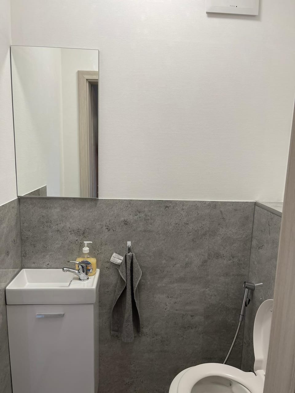 Bathroom, Living room