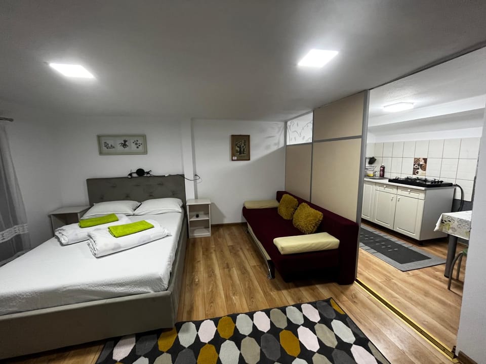 Kitchen or kitchenette, Bedroom