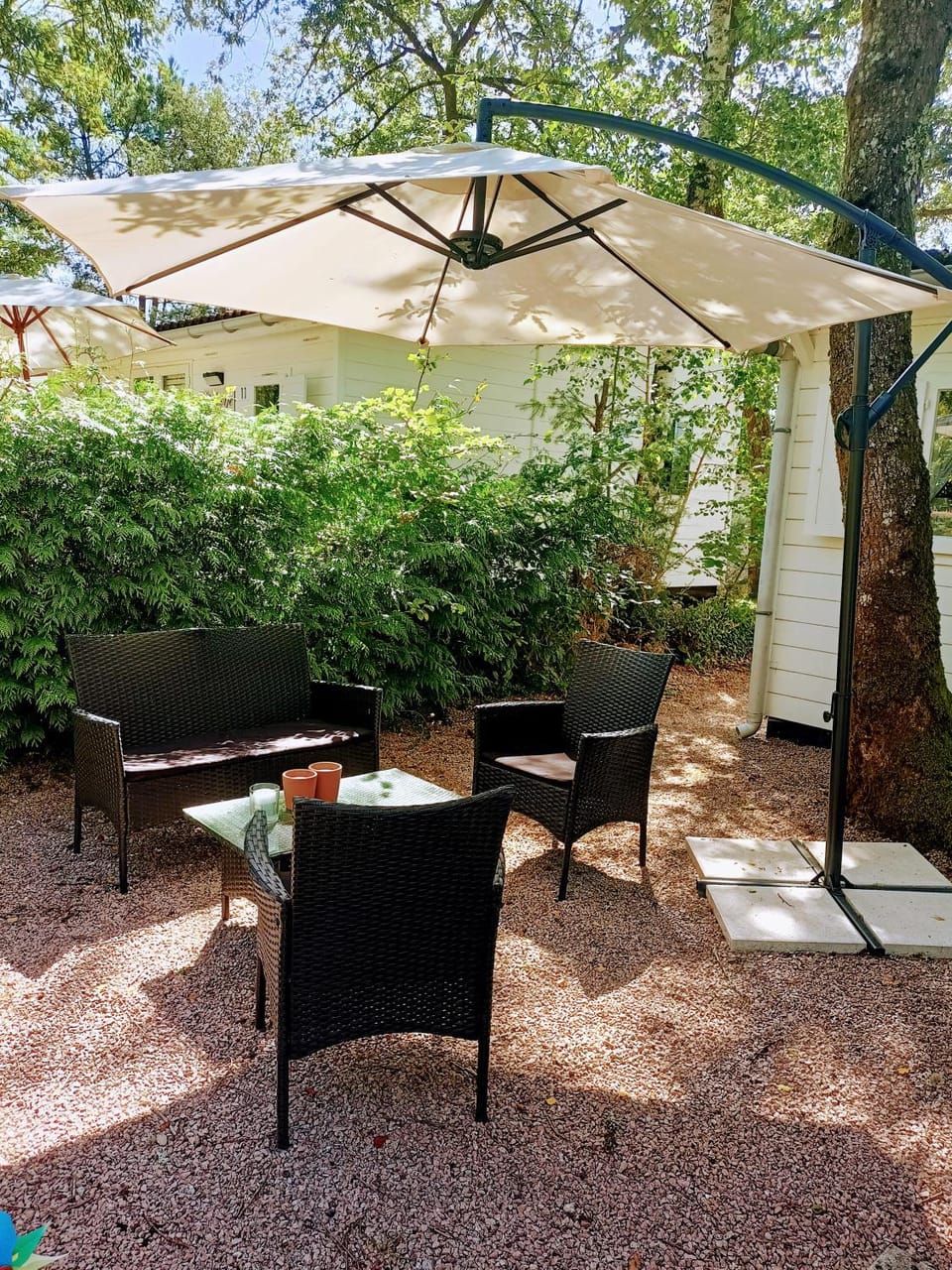 Patio, Summer