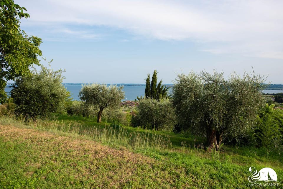 Natural landscape