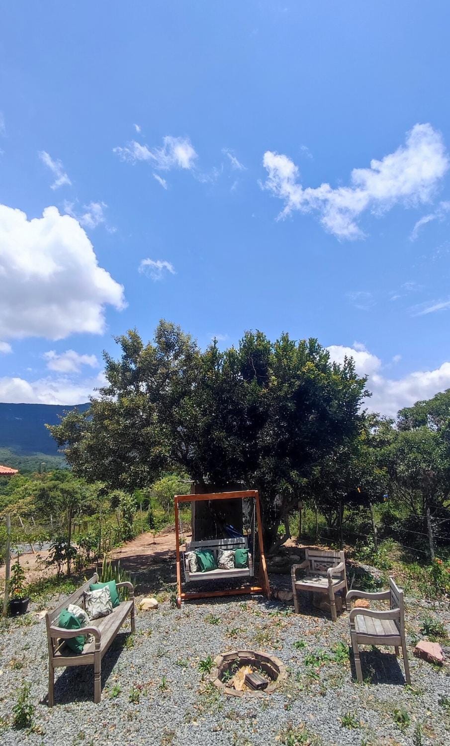 Garden view