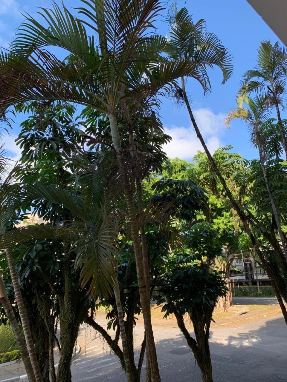 Property building, Garden view
