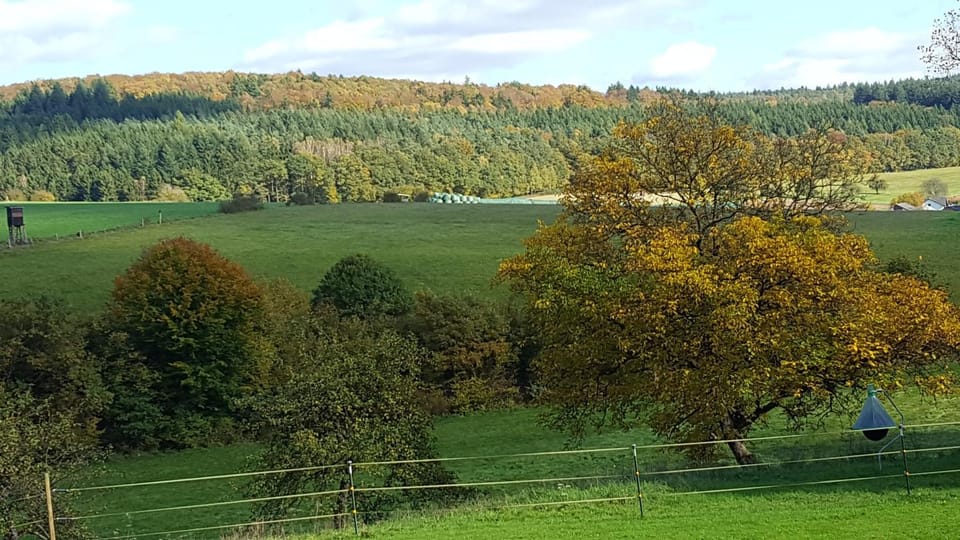 Natural landscape