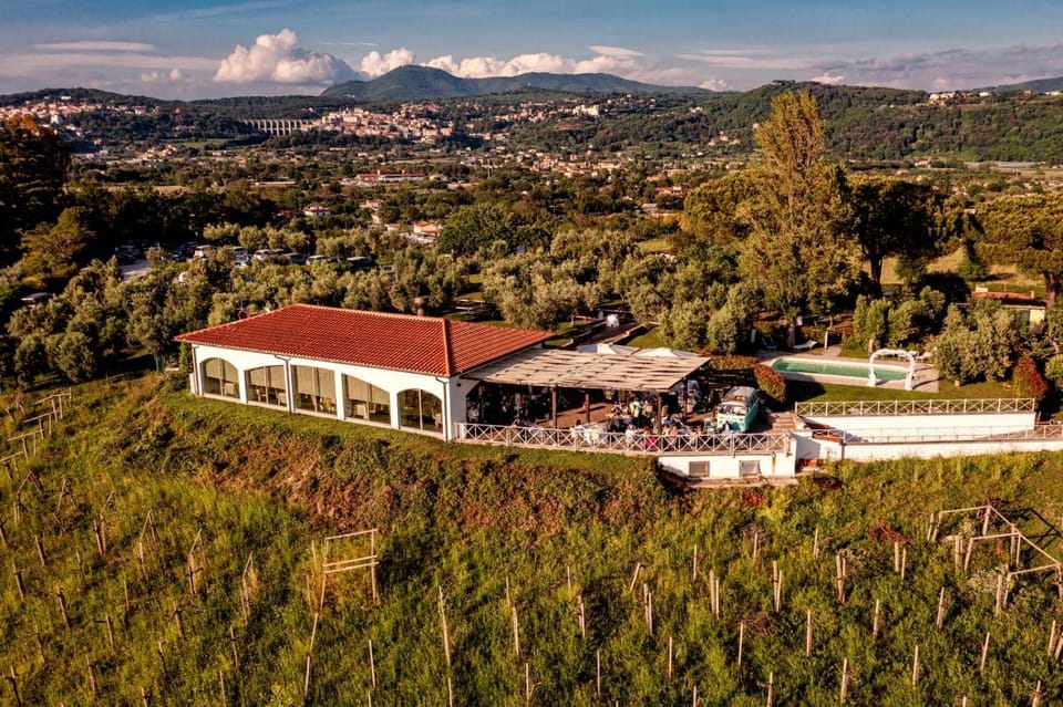 Property building, Day, Bird's eye view