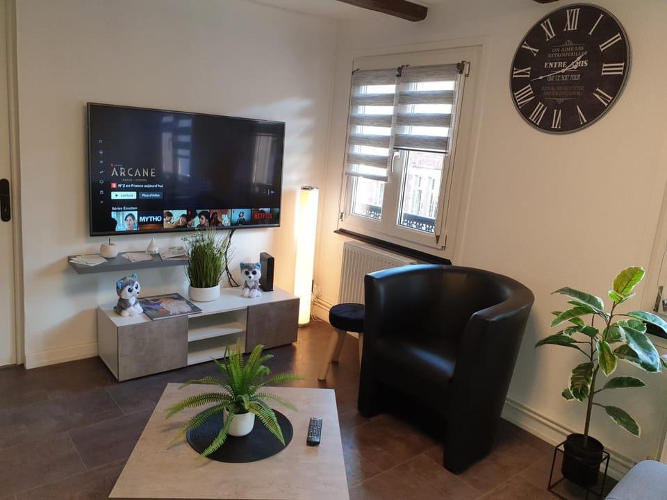 - 2 - Très Bel Appart Charmant et Moderne 5Pers T3 73m2 Apartment in Sélestat