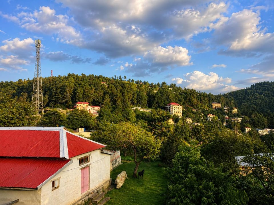 City view, Mountain view