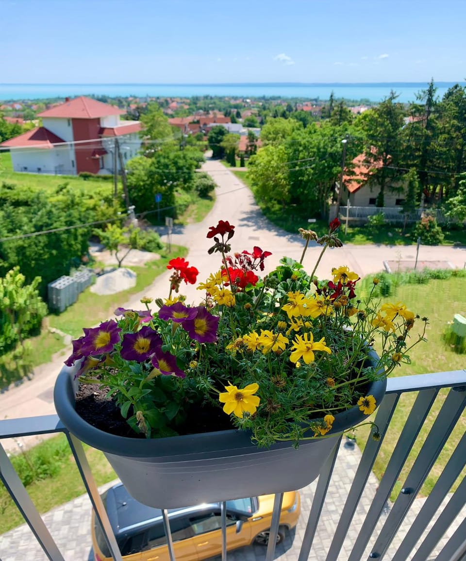 Property building, Patio, Balcony/Terrace