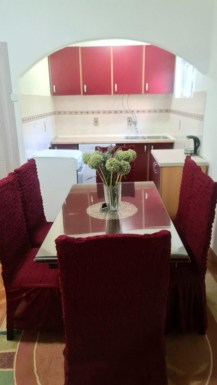 Apartman Stefan House in Kotor Municipality